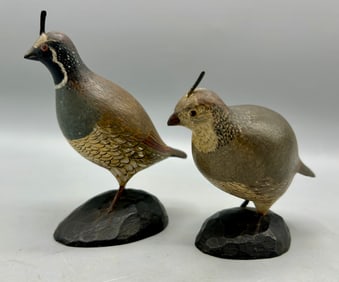 Rare Miniature Mountain Quail by A.J. Ditman