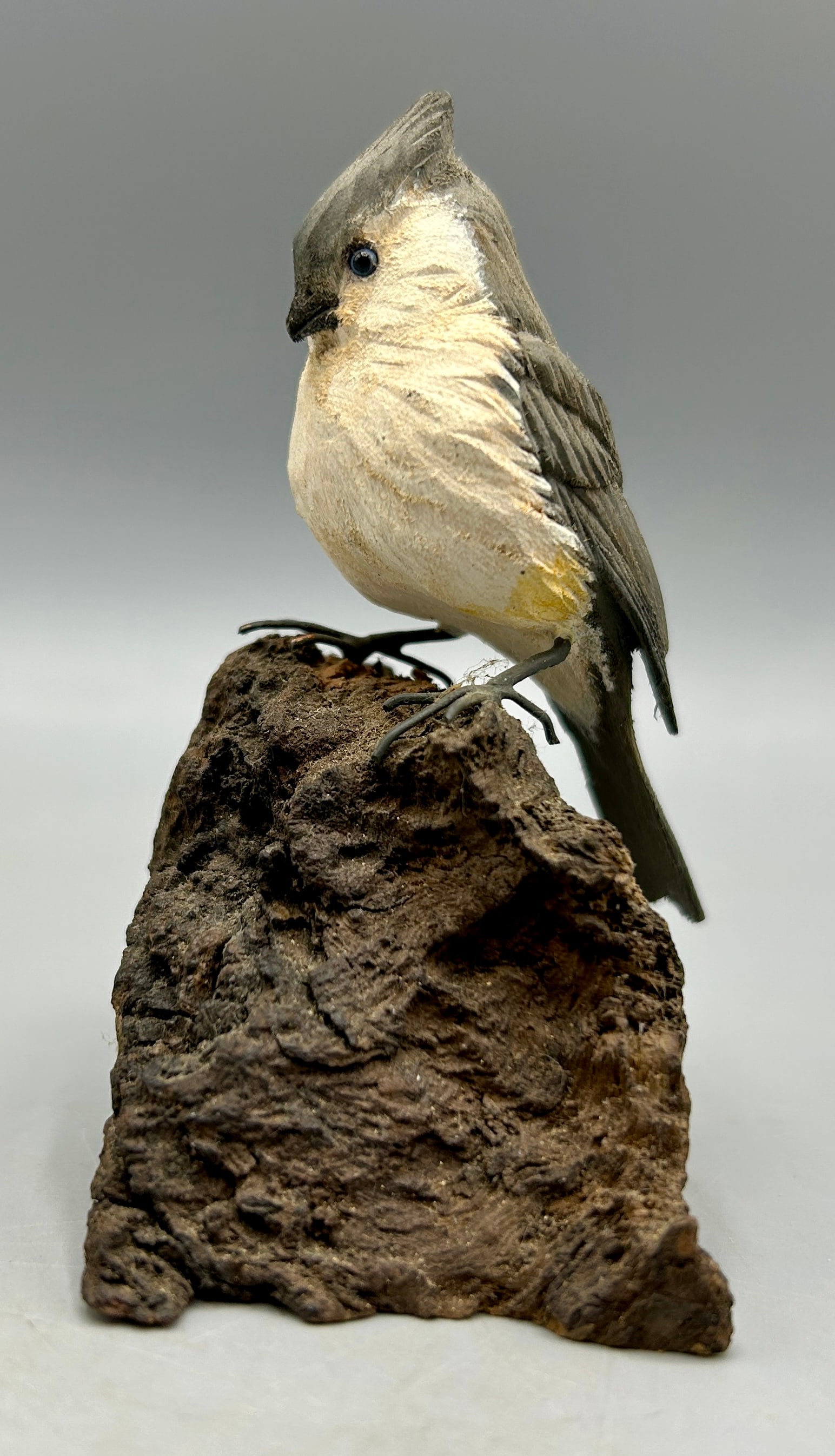 A Miniature Tufted Titmouse by Doc Sawdo (1 of 5)