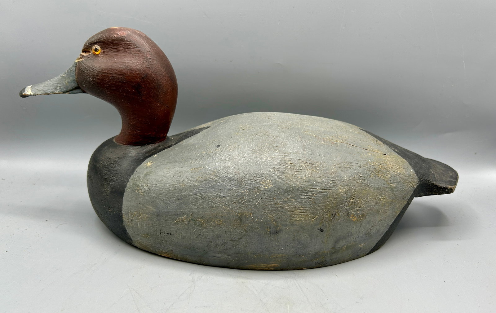 Michigan Redhead (1 of 4)