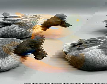 Two Two-Thirds Size Shoveler Drakes by R J B (1 of 5)