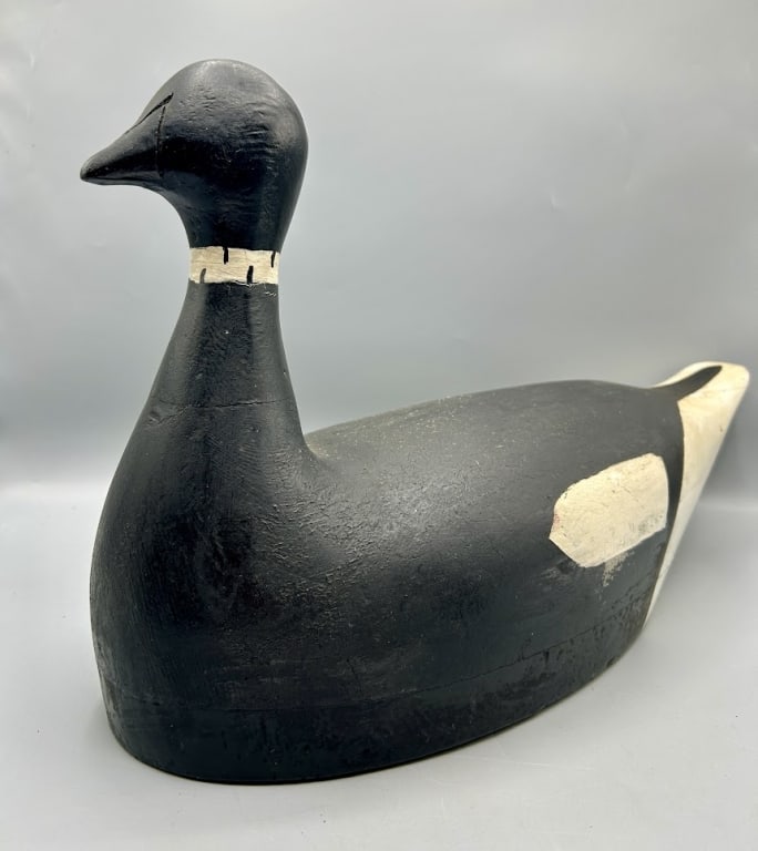 Pacific Brant by J. Allan Forester (1 of 4)