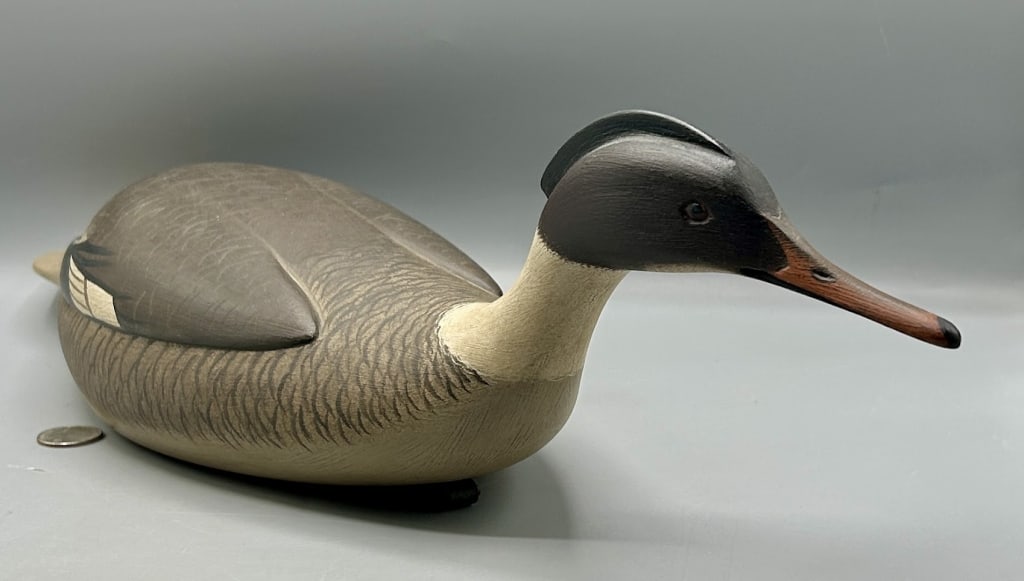 Exceptional Swimming Merganser by Martin Collins (1 of 4)