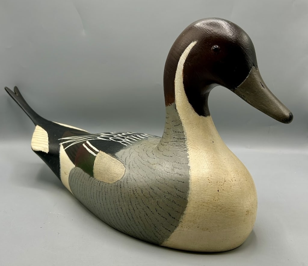 Pintail Drake by Holger Smith (1 of 4)