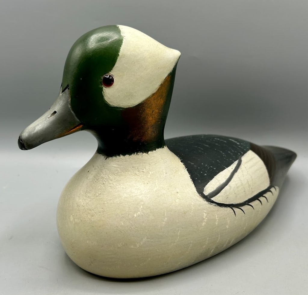 Early Bufflehead Drake by Holger Smith (1 of 5)