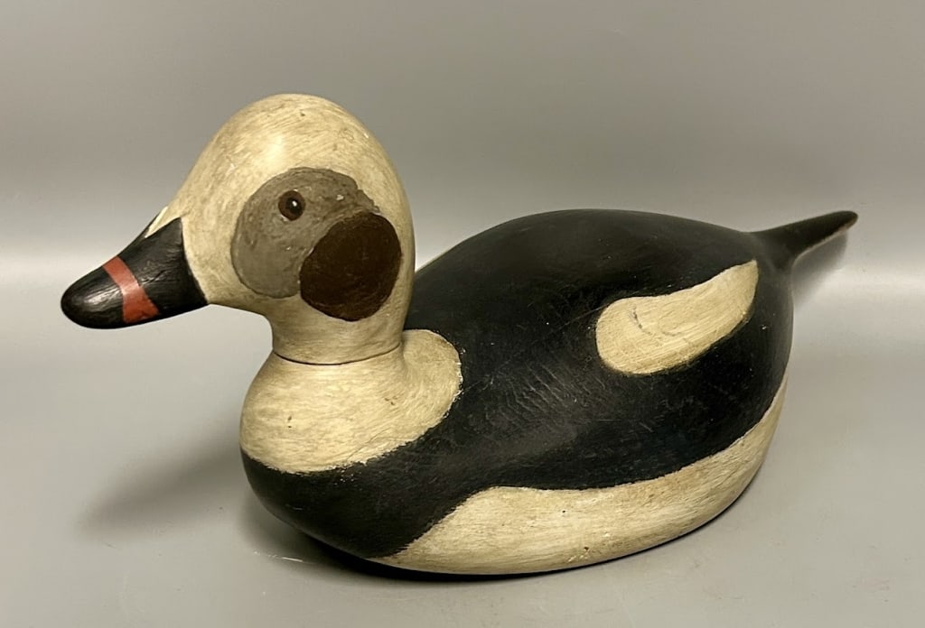 Cape Cod Old Squaw by Alan Raymond (1 of 5)