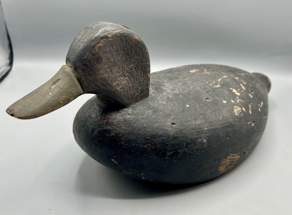 Swimming Black Duck from the Dr. Starr Collection (1 of 5)