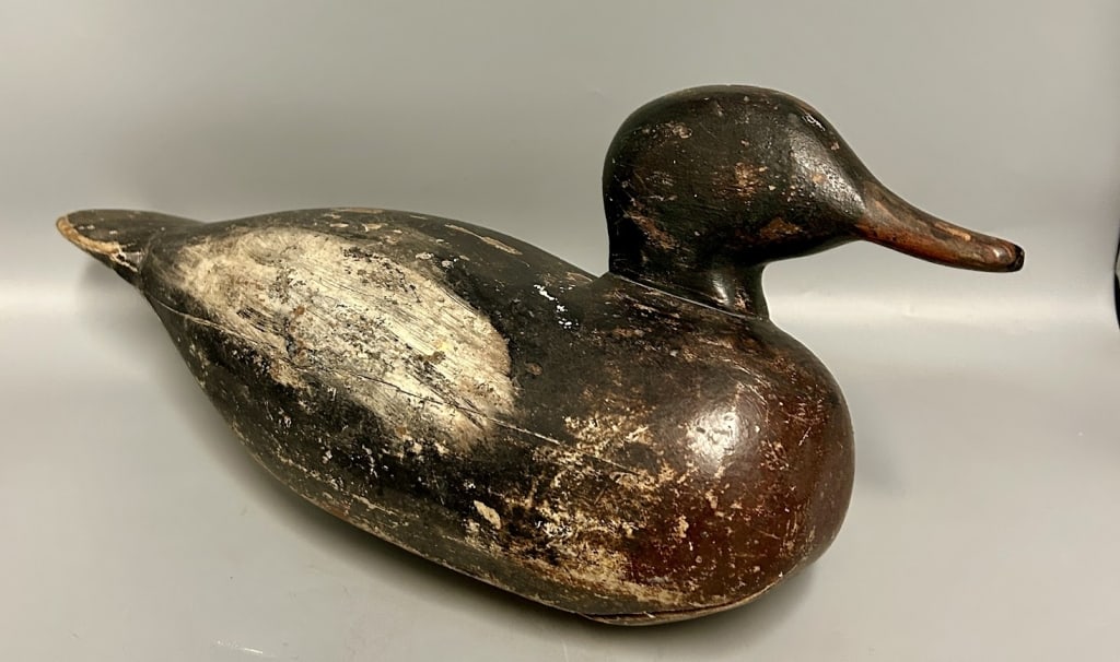 Early Red-Breasted Merganser - Swift Family (1 of 6)