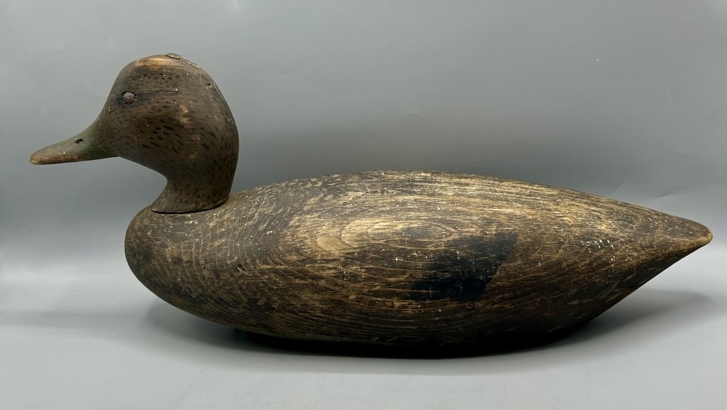 Black Duck Decoy from Martha's Vineyard (1 of 5)