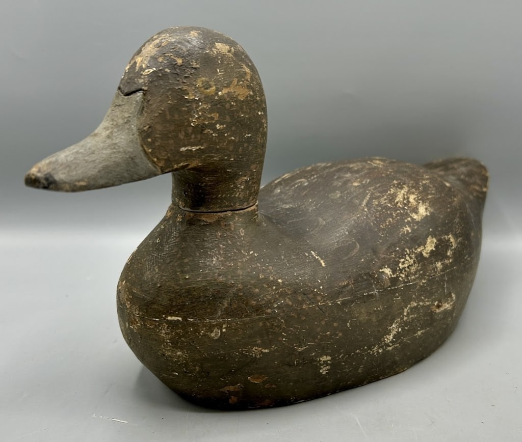 Widgeon Hen Decoy from a Martha's Vineyard Rig (1 of 4)