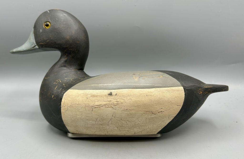 Blue Bill Drake by T.J. Hooker (1 of 3)