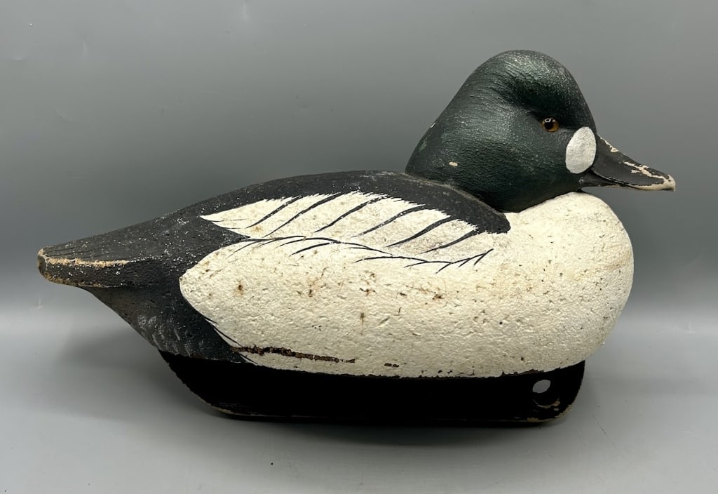 Resting Goldeneye Drake by Tom Matus (1 of 5)