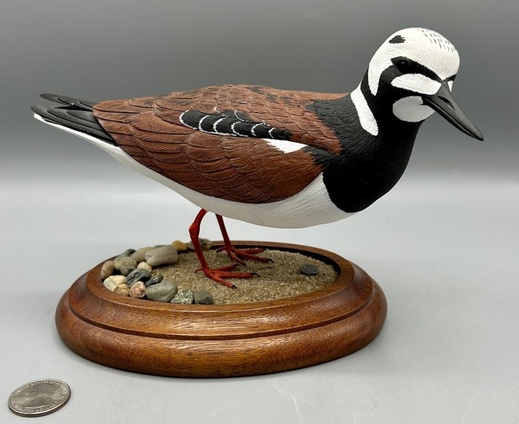 Ruddy Turnstone Sandpiper by Reid Higgins (1 of 4)