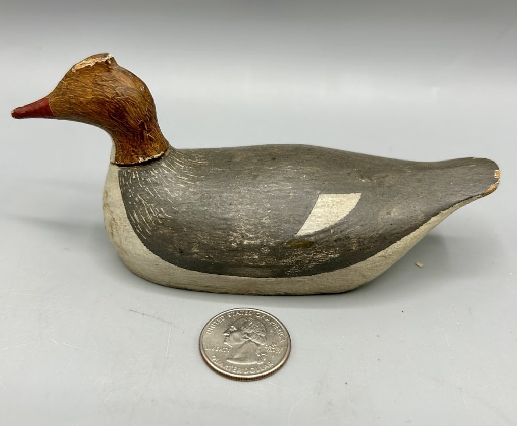Early Miniature Merganser Hen from Seabrook, NH (1 of 4)