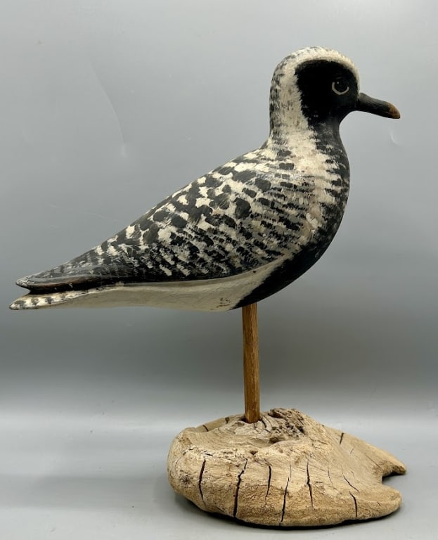 Antique Black-Bellied Plover Shorebird Decoy: An antique life size Black-bellied Plover shorebird decoy restored by Roger Mitchell (b. 1945), Kingston, MA. In restored paint.