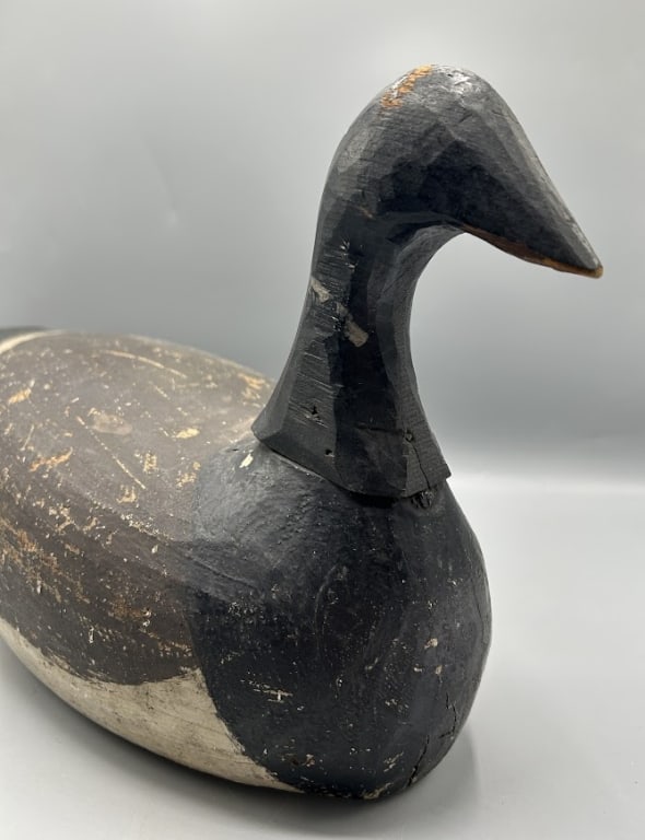 Brant by Frank Richardson, Martha's Vineyard (1 of 4)