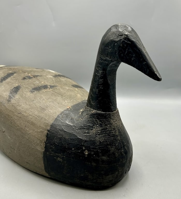 Brant by Manuel Schwartz Roberts,Martha's Vineyard (1 of 5)