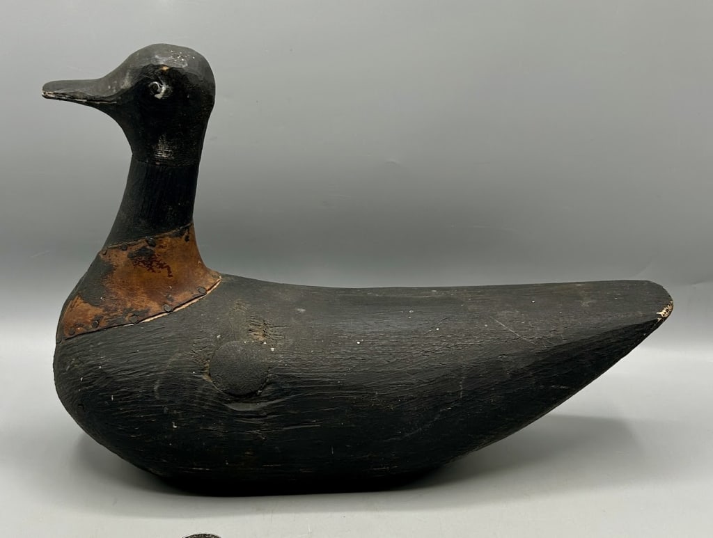 Early Folk Art Coot Decoy from Marblehead, MA (1 of 4)