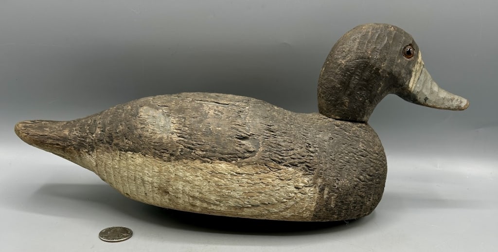 A Bluebill Hen by the Animal Trap Factory Decoy (1 of 4)