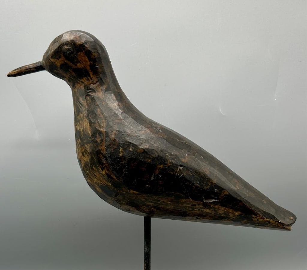 Golden Plover from Cape Cod - 2