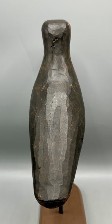 Golden Plover from Cape Cod - 4