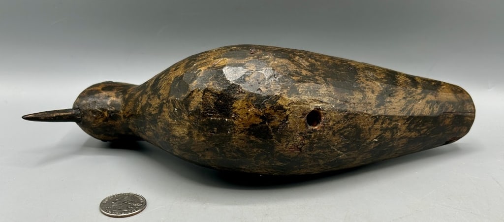 Golden Plover from Cape Cod - 5