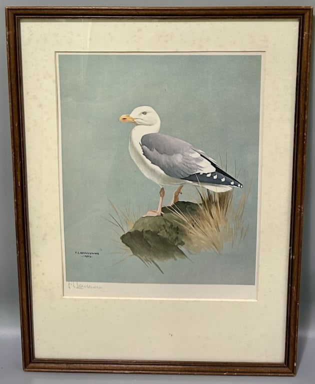 Seagull Print Signed Edition by J.F. Lansdow: A 13 1/2 by 10 1/2 inch (sight) print by J. Fenwick Lansdowne (1937-2008), Victoria, Canada, signed in the lower left corner. Frame is 20 by 15 inches. As Found.
