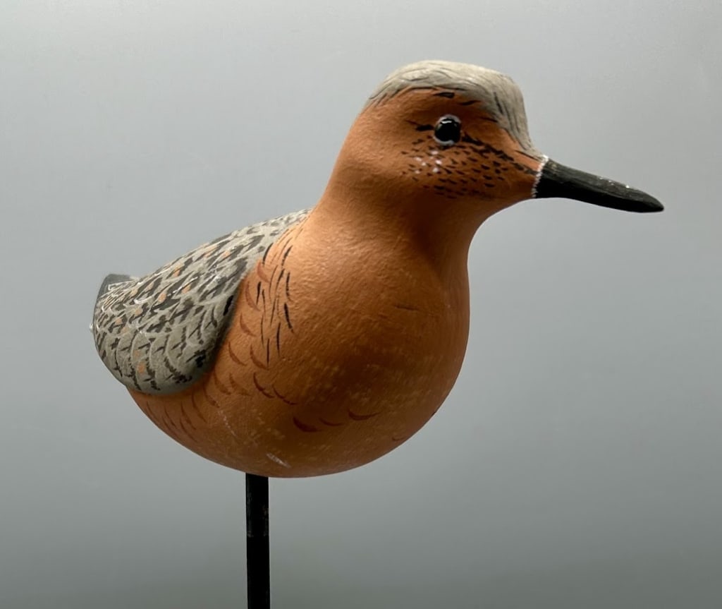 Robin Snipe Shorebird Decoy by Harold Van Dyck (1 of 3)