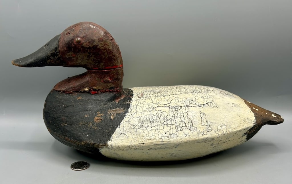 Canvasback Drake Decoy from the Chesapeake Bay (1 of 4)