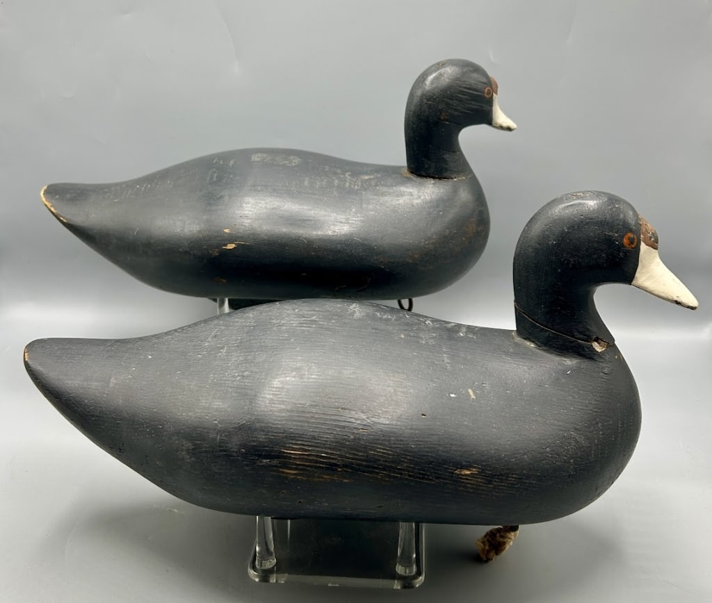 Pair of Coot Decoys by Madison Mitchell (1 of 7)
