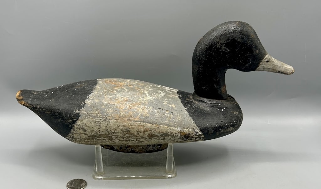 Early Bluebill Drake from the Chester River, MD (1 of 4)