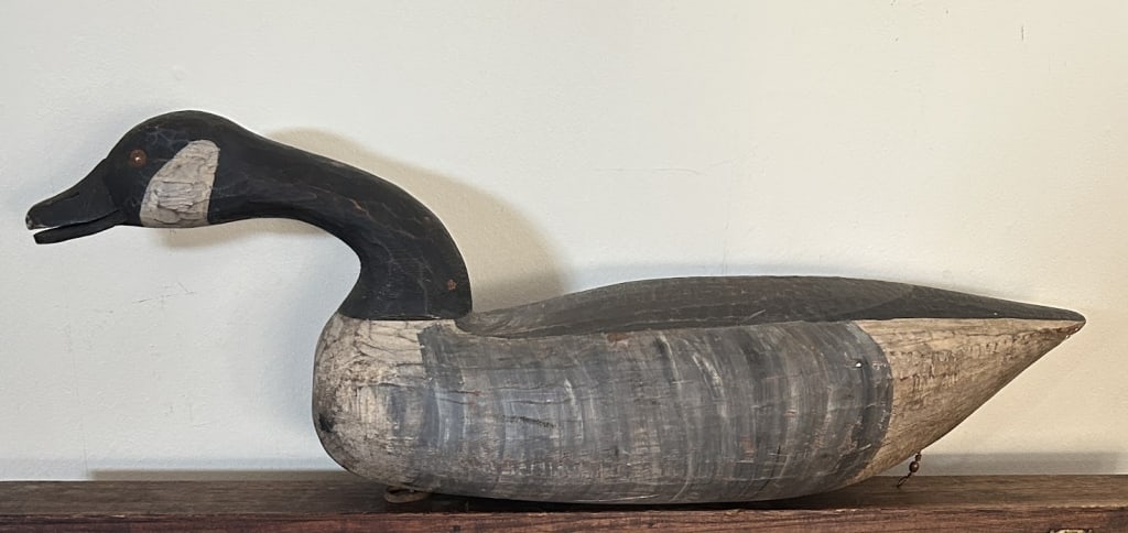 Swimming Canada Goose from Chincoteague (1 of 4)