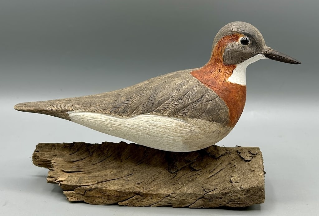 Ring-Necked Phalarope Carving - 3