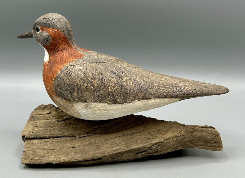 Ring-Necked Phalarope Carving - 4
