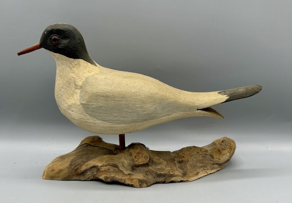Rare Early Tern Decoy by Harry Monk (1 of 3)
