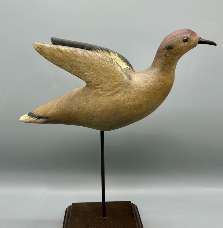 Dove in Flight by R.D. Wilson (1 of 4)