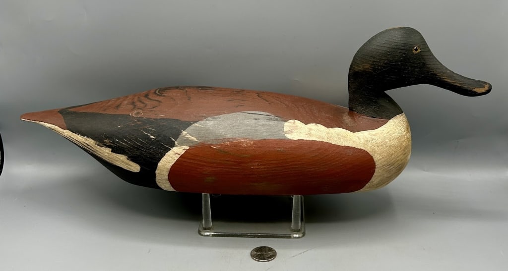 Shoveler Drake Duck Decoy: An 18 1/2 inch Shoveler duck decoy. In original paint with minor wear.
