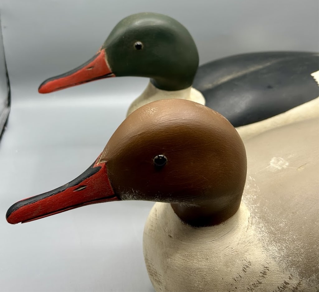 Oversize American Mergansers by Will Hammerstrom (1 of 5)