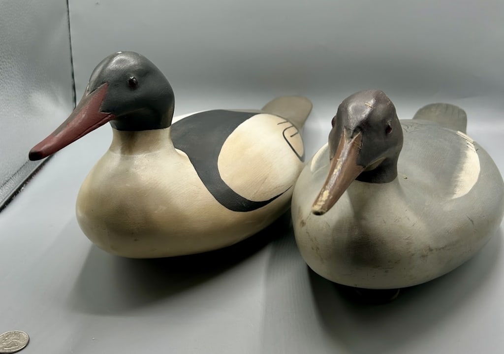 Pair pf Common Mergansers by Richard Chmiel (1 of 5)