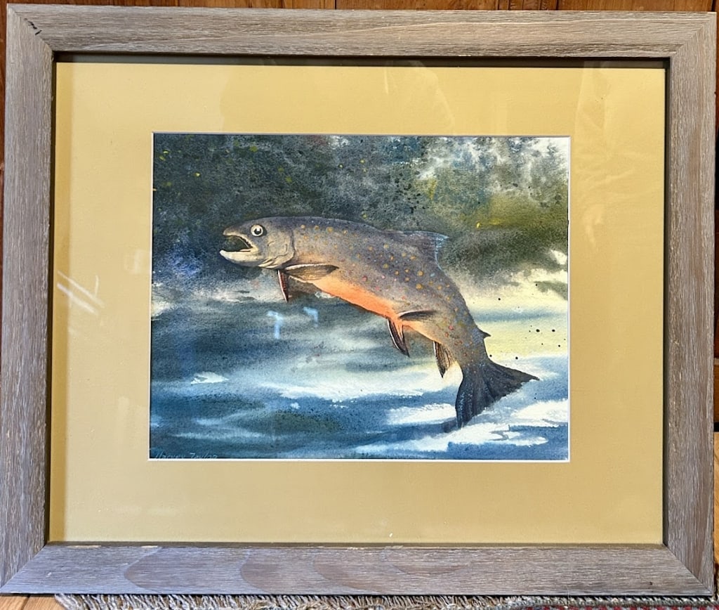 Watercolor Trout Painting by Harvey Taylor (1 of 1)