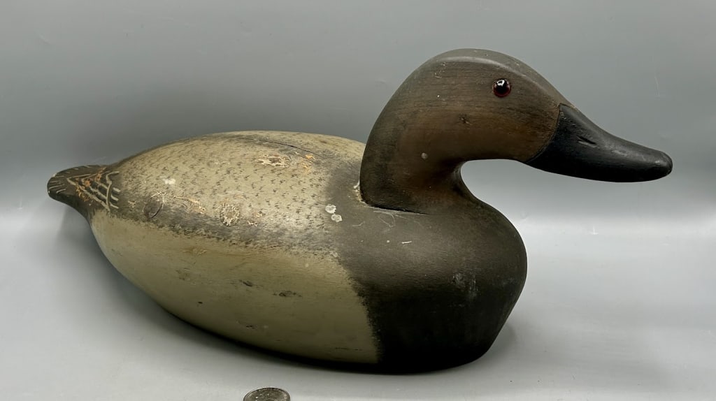Canvasback Hen by Harris Wild Duck Decoys (1 of 4)