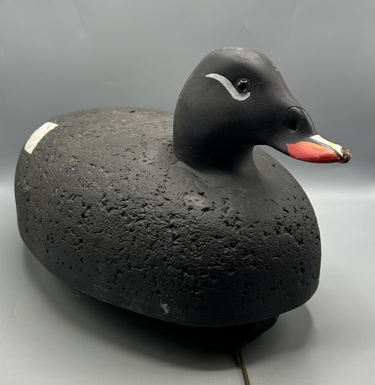 Cork Surf Scoter and a Loon from New England (1 of 6)