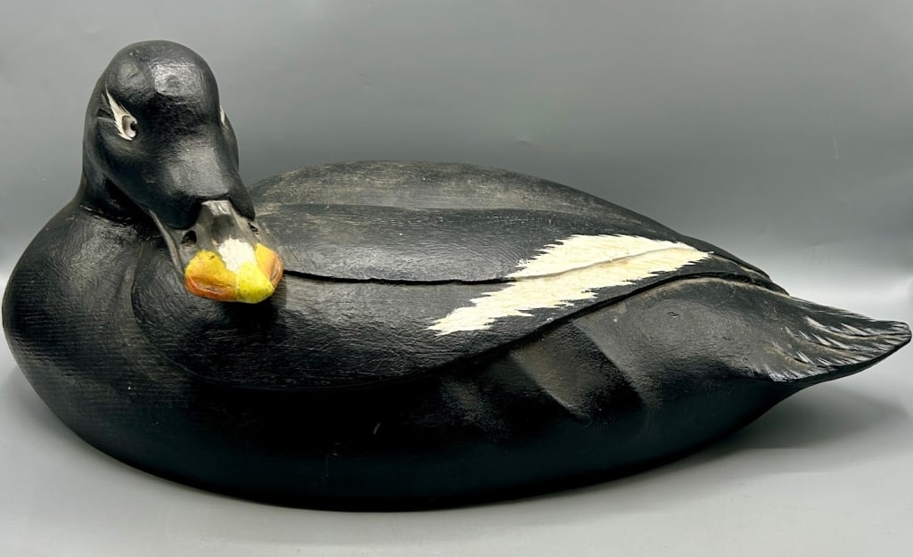 A Oversize Surf Scoter Decoy by Dr. R. O'Connor (1 of 5)