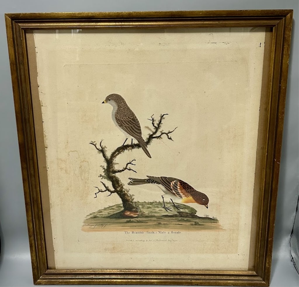18th C. Colored Engraving by William Hayes (1 of 1)