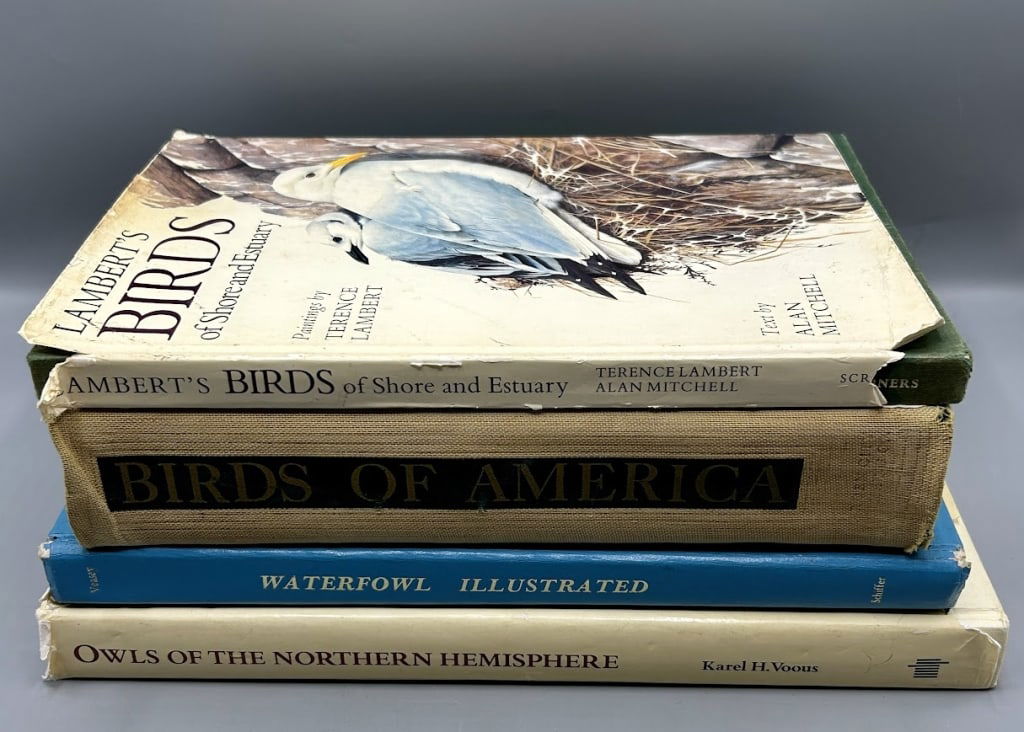 Four Bird Books: Four bird books, one about owls, one featuring art by Lambert and another Audubon.
