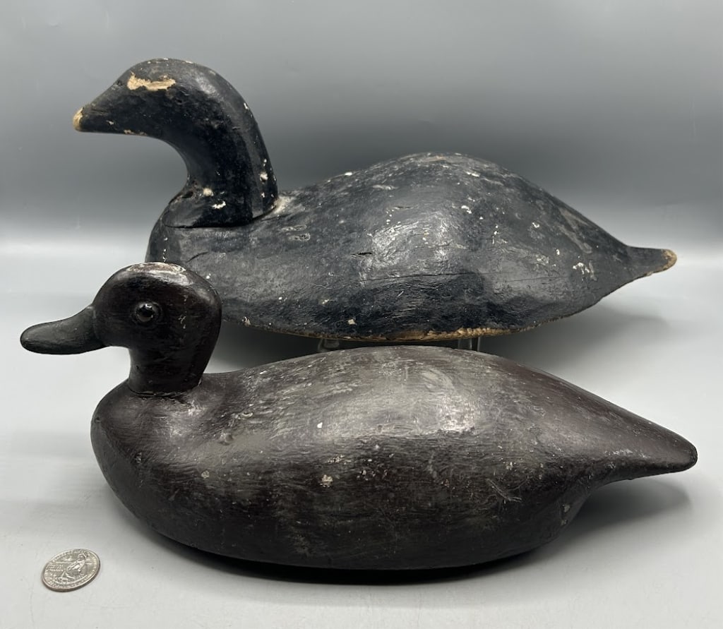 Downeast Scoter Decoy and a Bluebill: A 16 inch primitive turtleback Scoter decoy from Maine and a 12 1/2 inch turtleback Bluebill hen. As found.