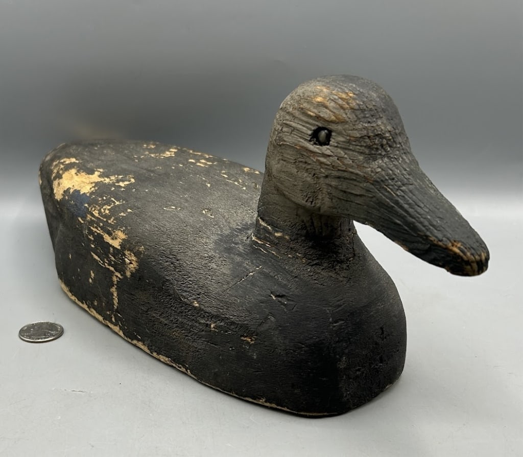 Black Duck Decoy by Herter's: A 13 1/2 inch balsa Black Duck by Herter's. In original paint with gunning wear.