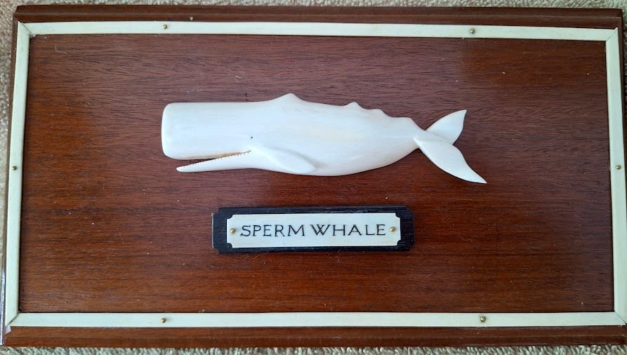 A Folk Art Sperm Whale Scrimshaw Plaque by Charles Manghis: A 5 by 10 inch plaque, hand carved and scrimshawed by Charles Manghis from Nantucket In good condition for its age.Per Federal regulation, this lot may only be purchased by a MA. resident and may not