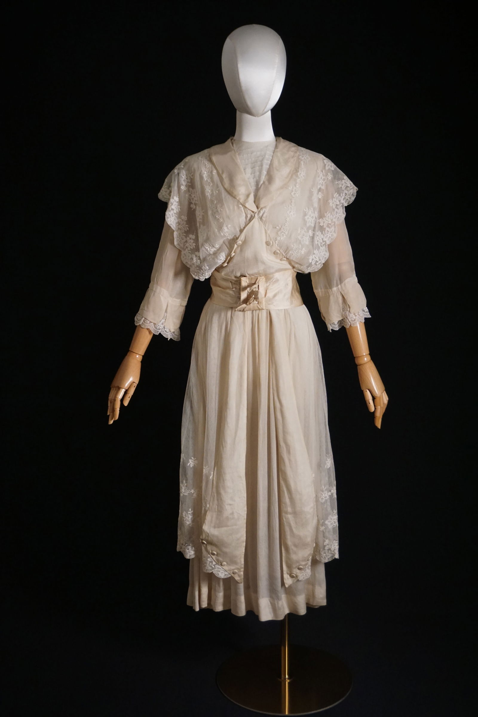1910s Edwardian era silk net lace day dress (1 of 9)