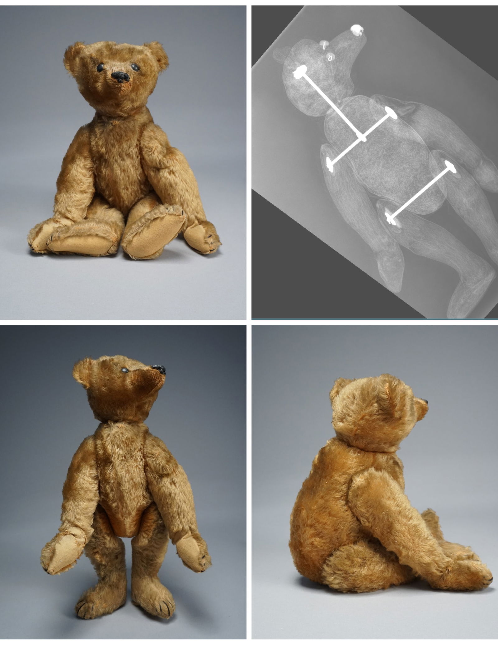 A STEIFF PB28 1904 Antique very rare mohair teddy bear (1 of 19)