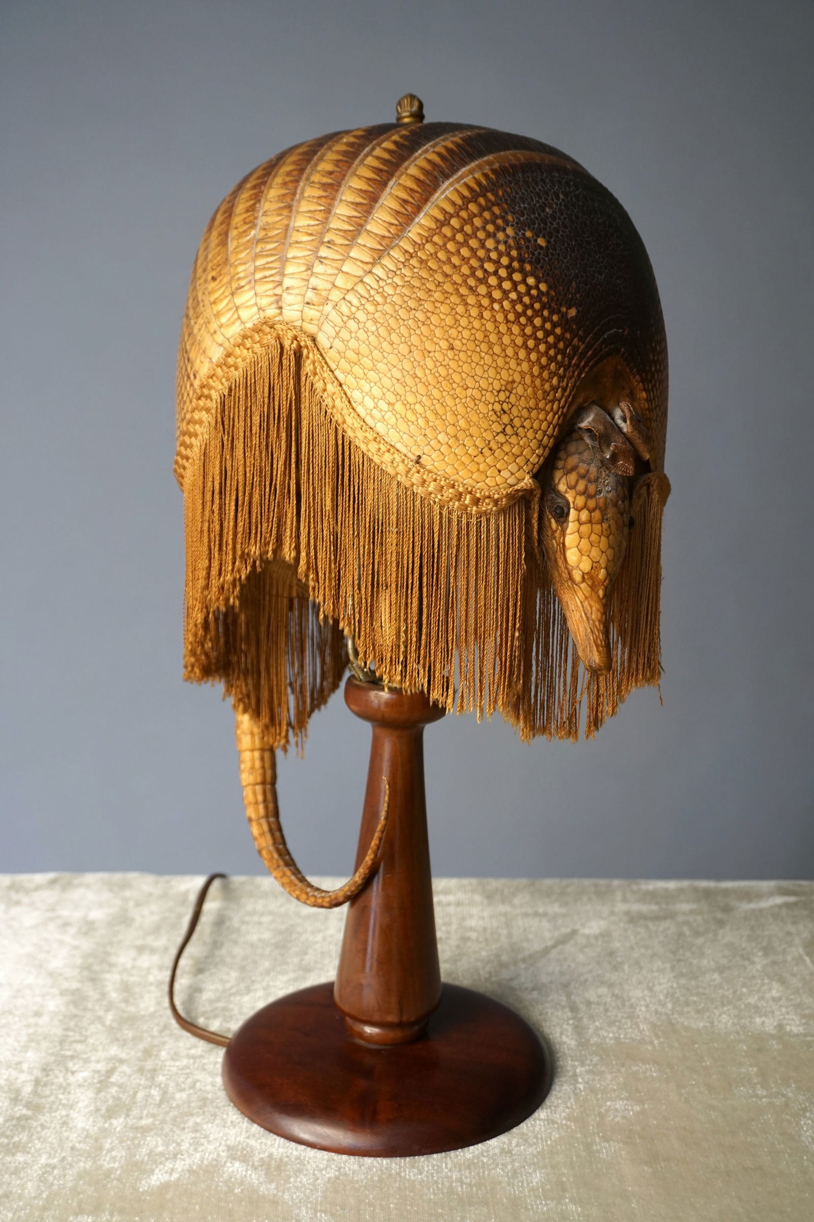 Antique Table Lamp Armadillo Taxidermy Fringe Shade Circa 1920s 30s (1 of 17)
